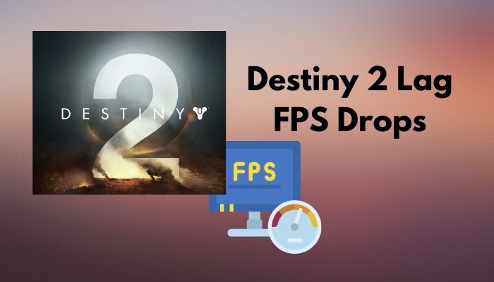 destiny 2 steam ラグ 販売