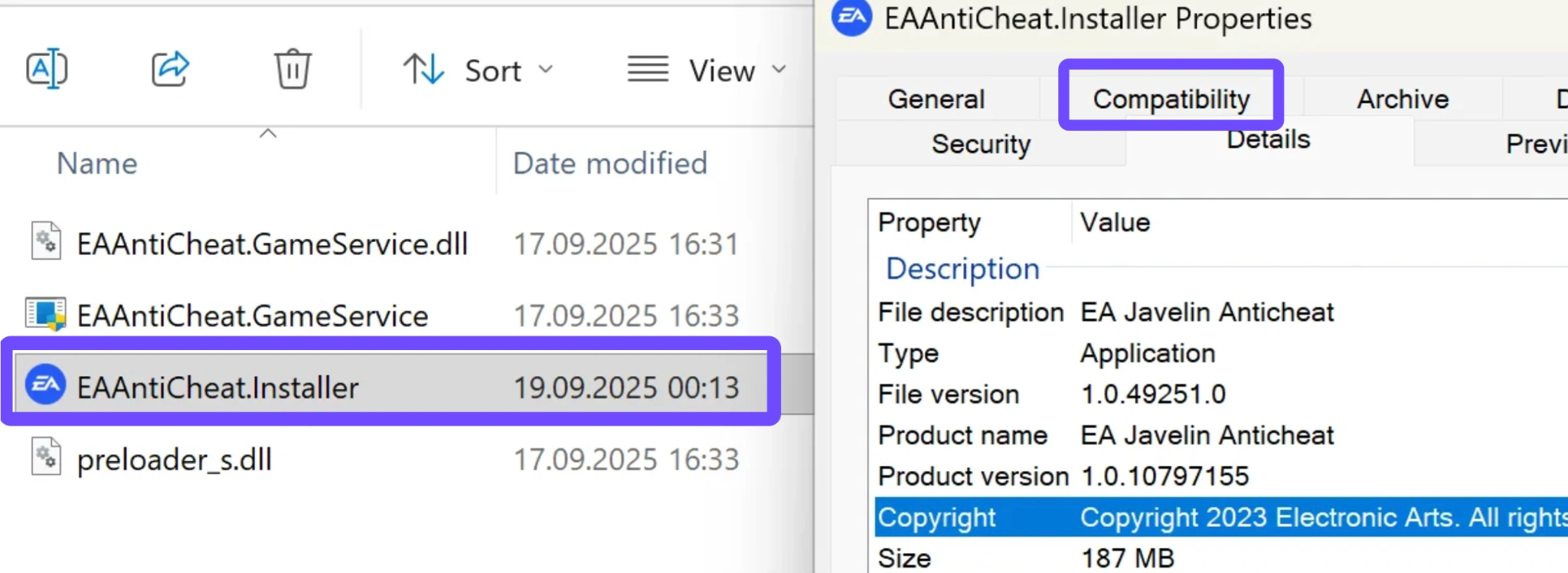 Fix For Crash After EA Anti-Cheat