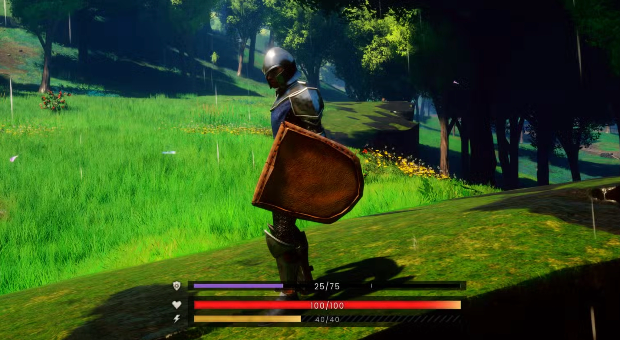 Dragon Shield: